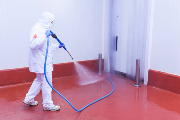 Best Boat and Dock Cleaning  in Coalinga, CA